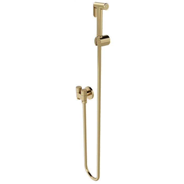 Wall mount handheld detachable bidet spray Brushed Brass finish