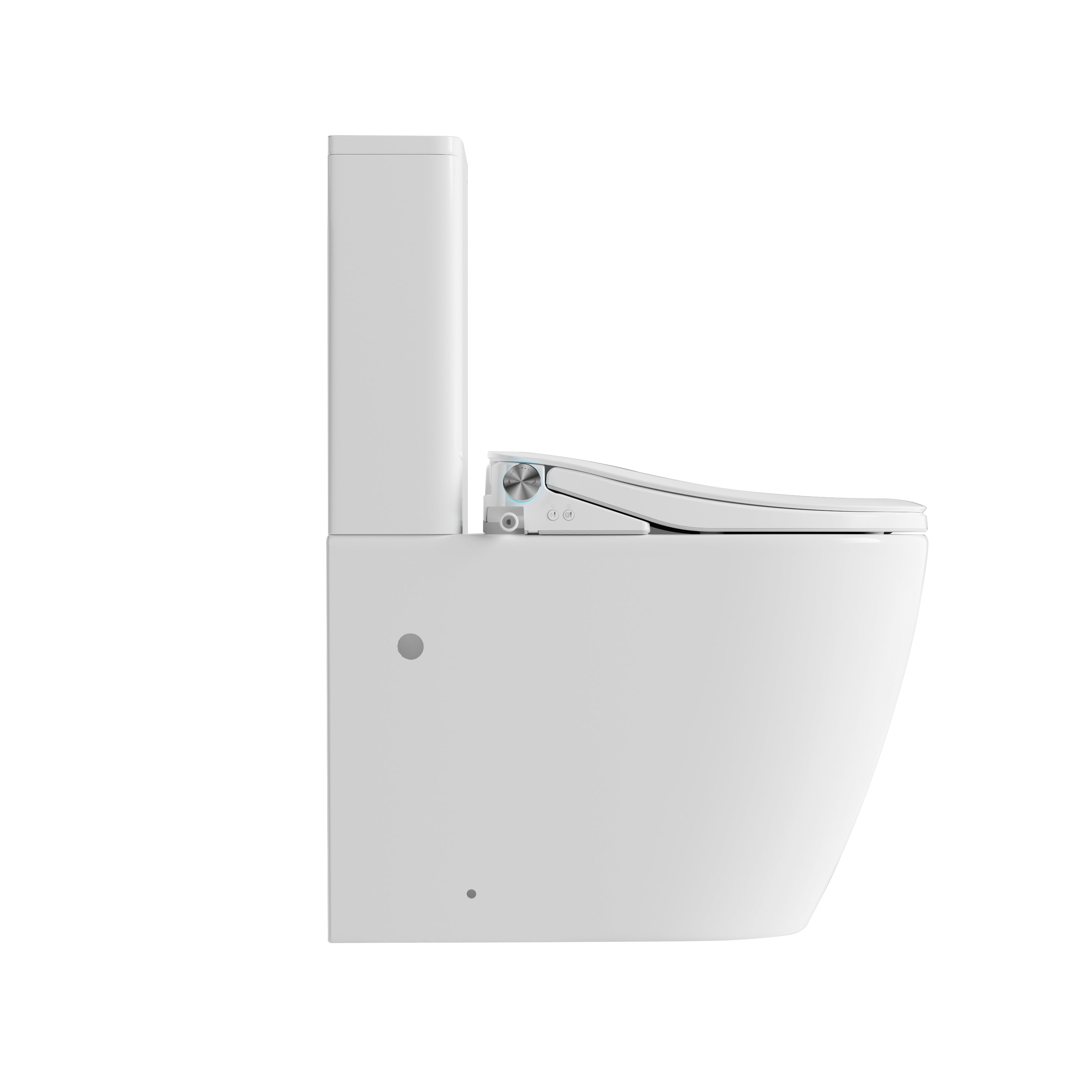 Lafeme Thea Standard Vega Back to Wall Comfort Height Rimless Bidet Toilet Suite