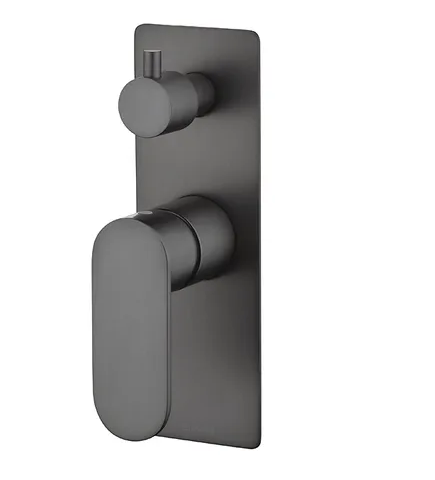 shower/bath Diverter Mixer Gun Metal with rotary diverter and oval handle with flush laser cut backplate