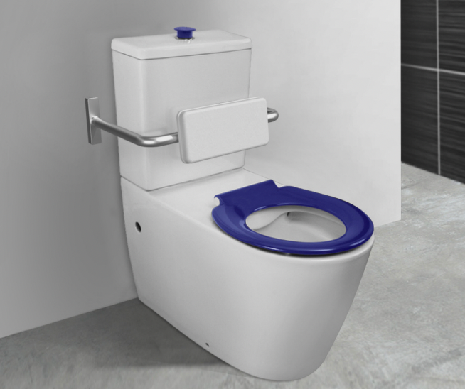 Back to wall age care toilet and for assisted living