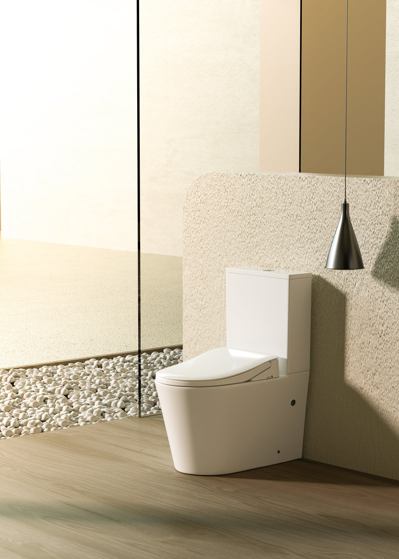 Lafeme Thea Standard Luna  Back to Wall Rimless Bidet Toilet Suite