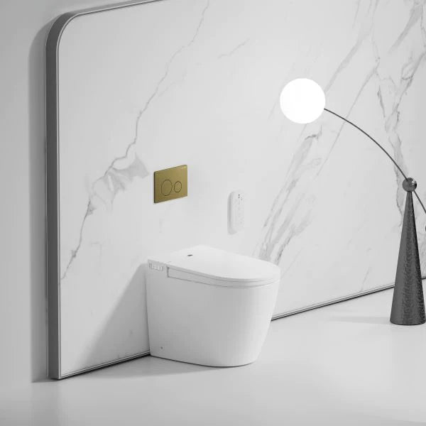 smart rimless bidet floor mount toilet pan