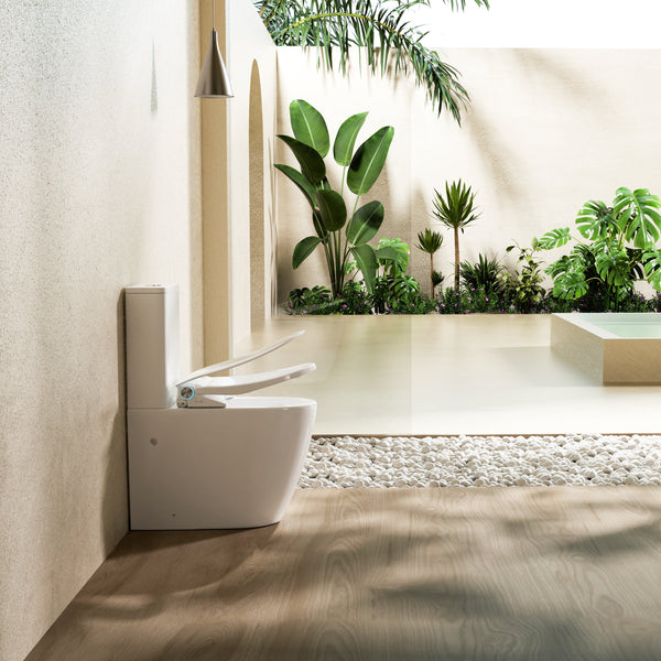 intelligent rimless back to wall bidet toilet suit