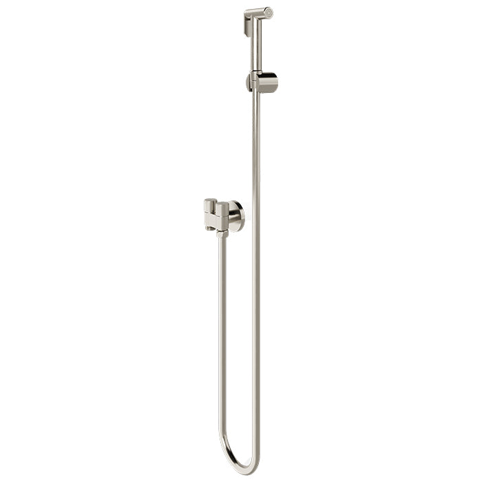Wall mount handheld detachable bidet spray Brush Nickel finish
