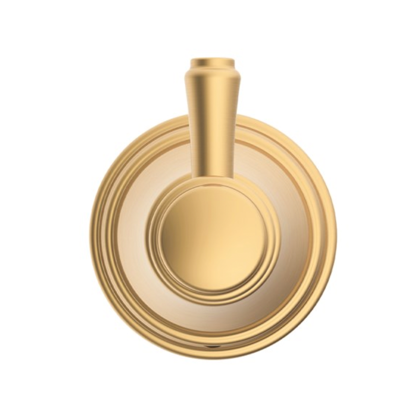 ADP Eternal  Robe Hook Brushed Brass