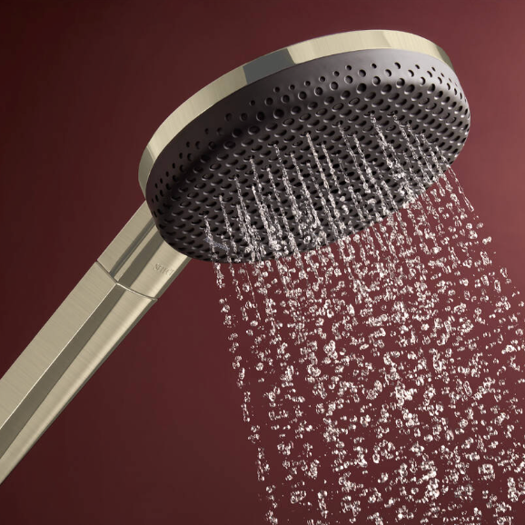 Hansgrohe Raindance Alive Select S 125 3 Jet Hand Held Shower Brushed Nickel