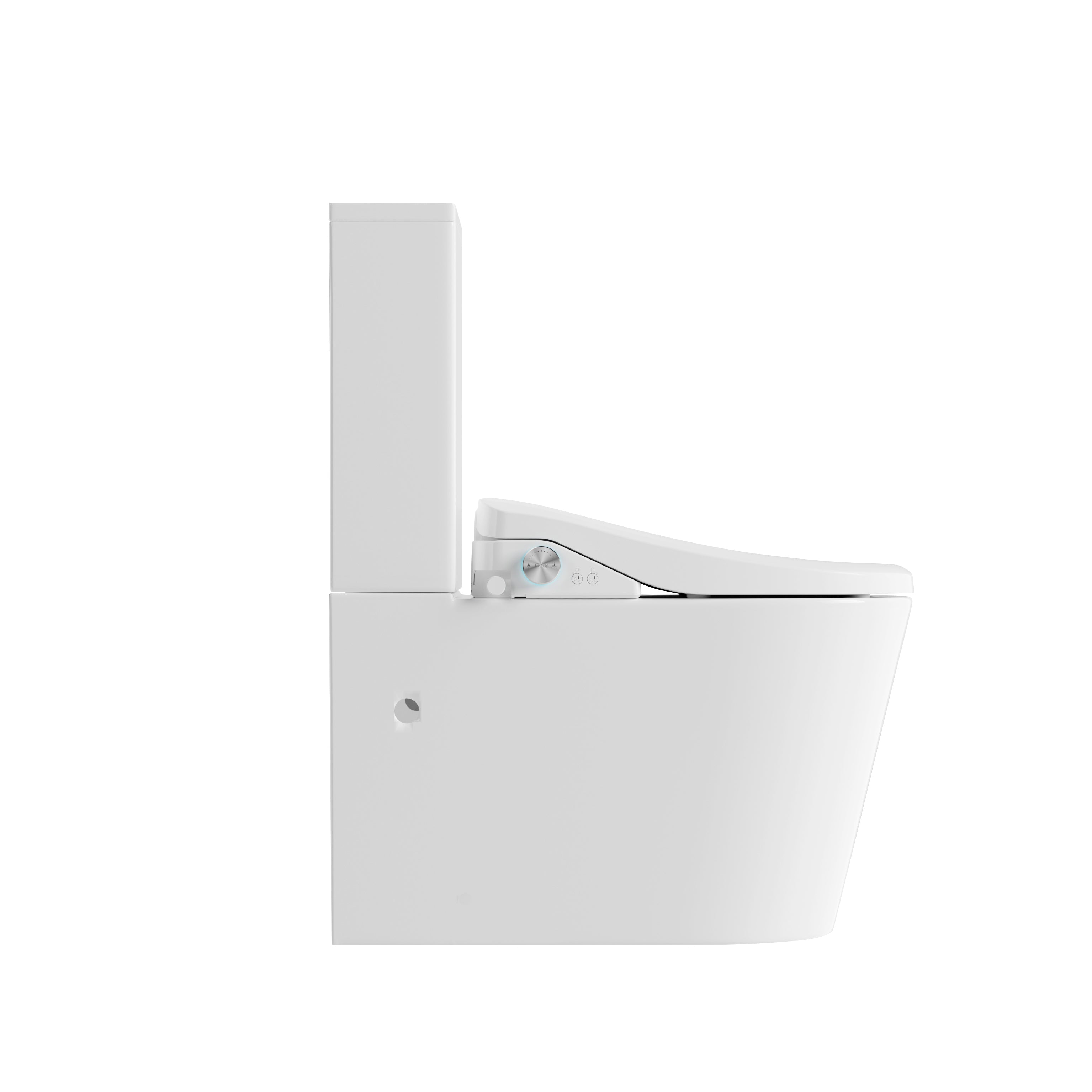 Lafeme Catania Standard Luna  Back to Wall Rimless Bidet Toilet Suite