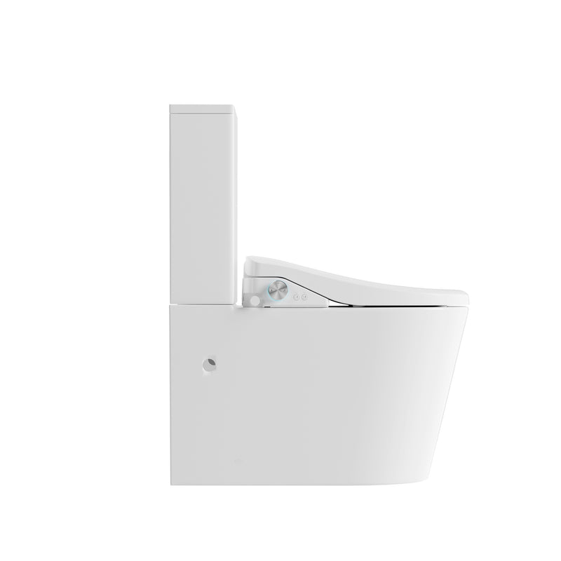 Lafeme Catania Standard Luna  Back to Wall Rimless Bidet Toilet Suite