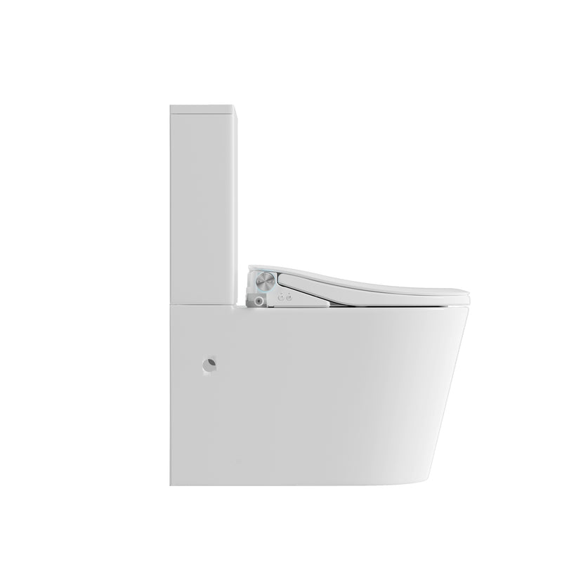 Lafeme Thea Standard Luna  Back to Wall Rimless Bidet Toilet Suite