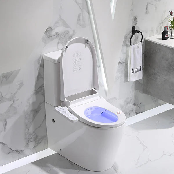 Lafeme Thea  Back to Wall Rimless Bidet Toilet Suite