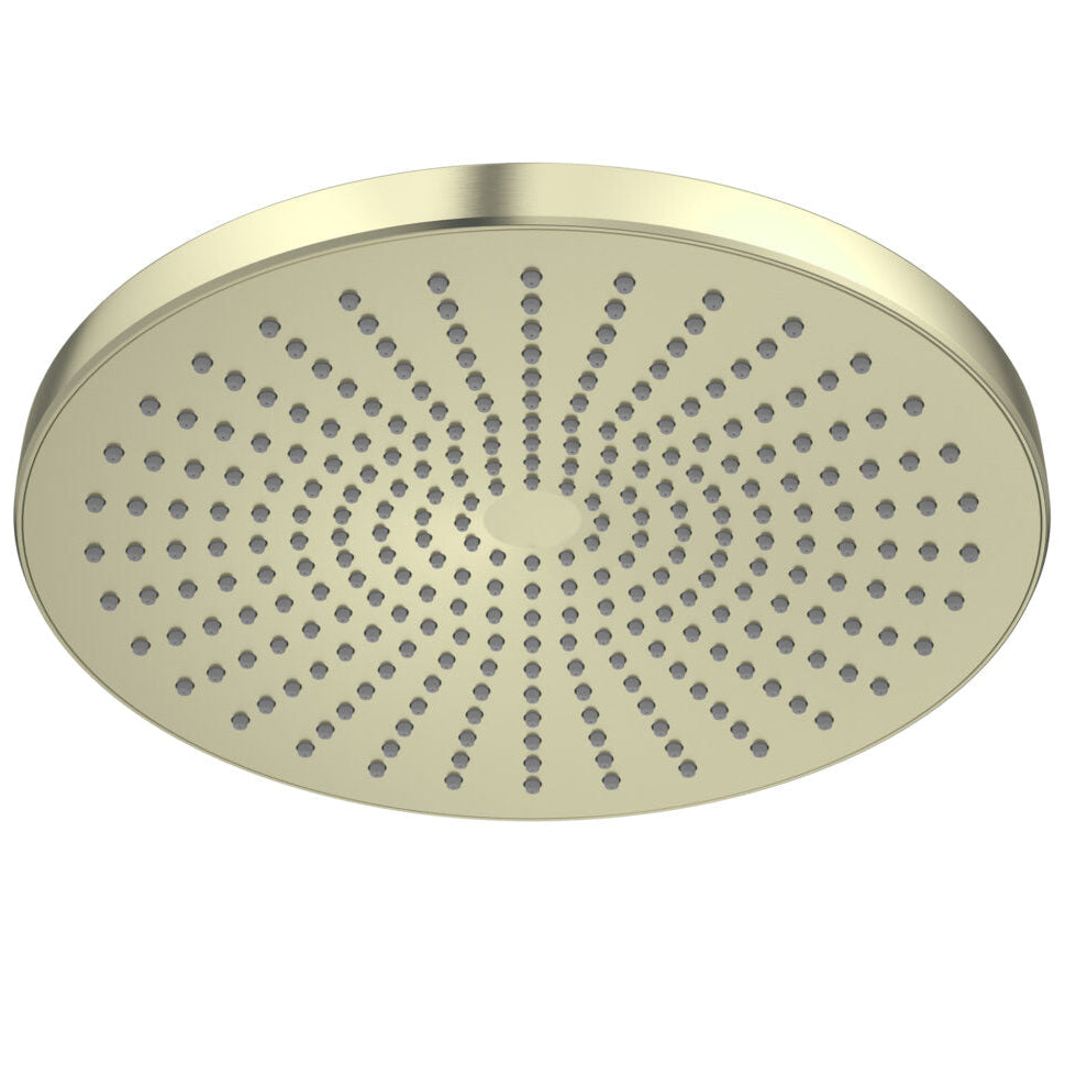 Brushed gold shower head with a circular shape and multiple nozzles.