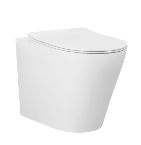 rimles floor mount toilet pan 