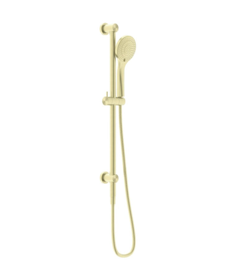 A Brushed Gold  single rail shower with a hand-held shower head and an adjustable rail,WATER INLET' at the bottom.