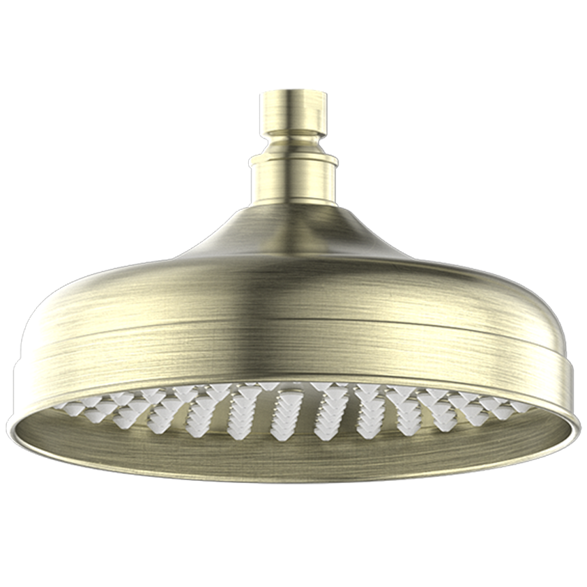 traditional aged brass shower head 