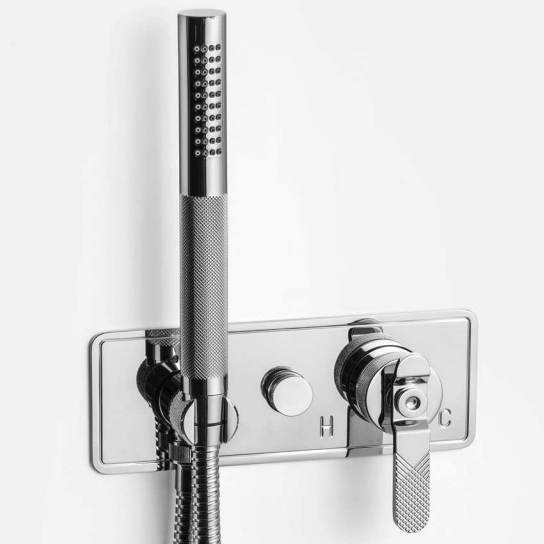 Bold Lever Hand Shower with Diverter onna slimline backplate