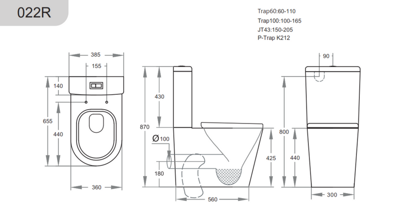 Donii Belmont Rimless Back to Wall Toilet Suite Matte Black