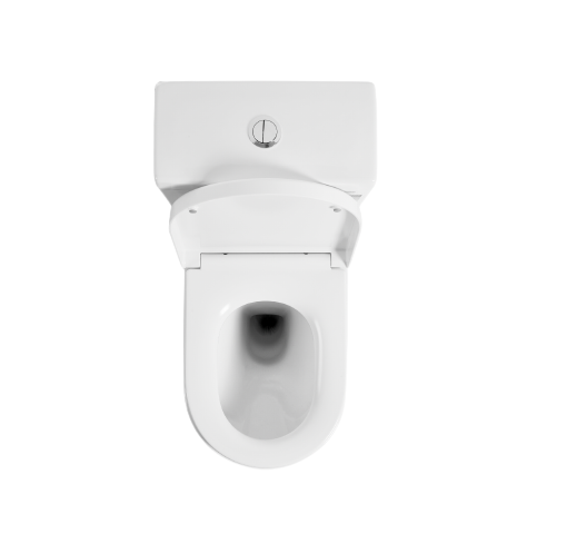 Donii Osborne Rimless Back to Wall Toilet Suite