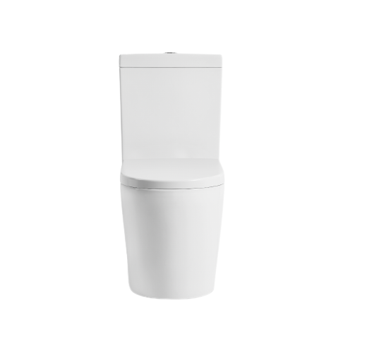 Donii Osborne Rimless Back to Wall Toilet Suite