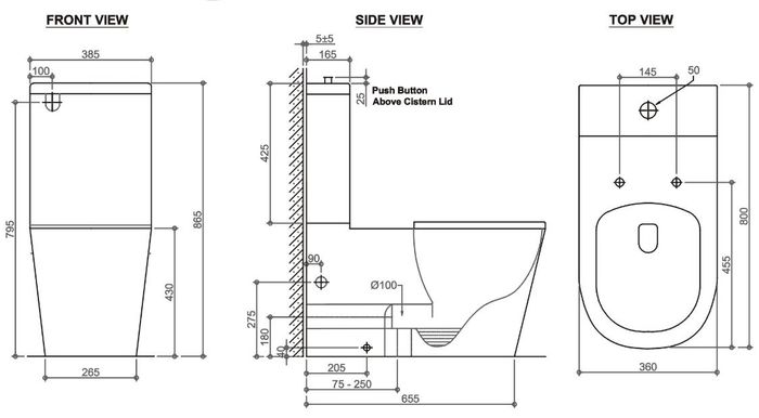 Inspire Wellness Care Back To Wall Toilet Suite