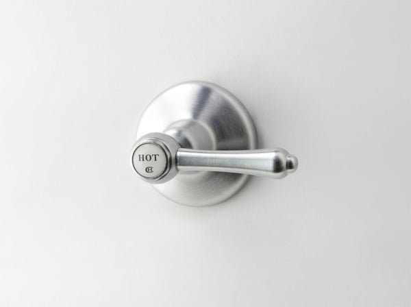 CB Ideal Roulette Lever Wall Top Assembly